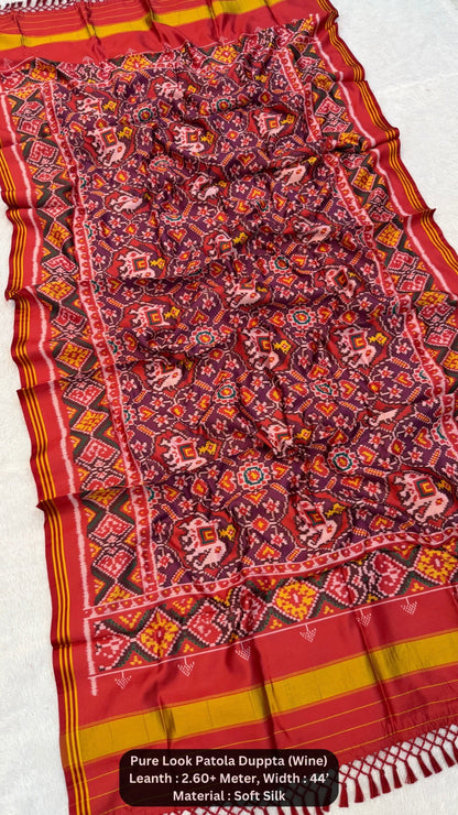Pure Look Patola Duppta